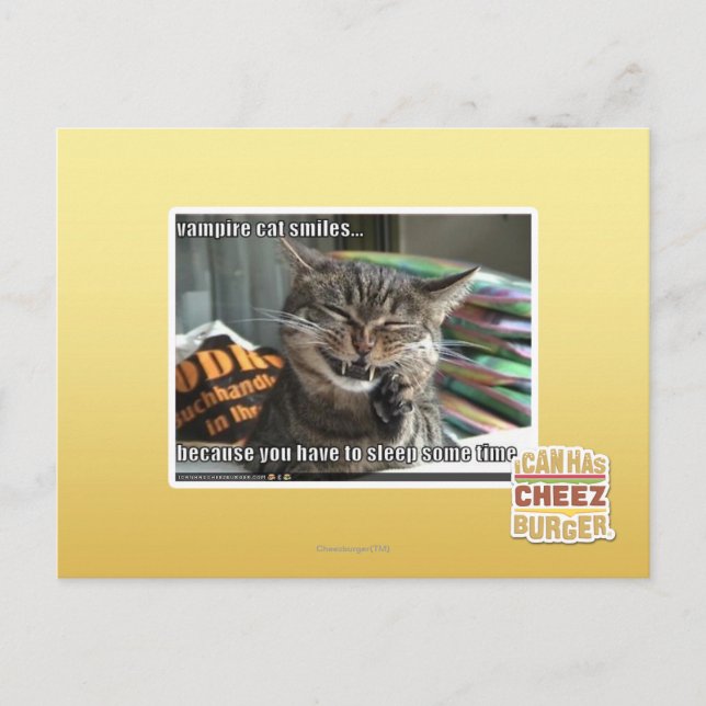 vampire cat smiles postcard (Front)