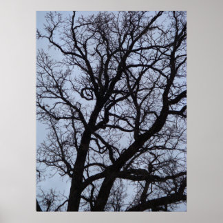 Vampire Tree Poster