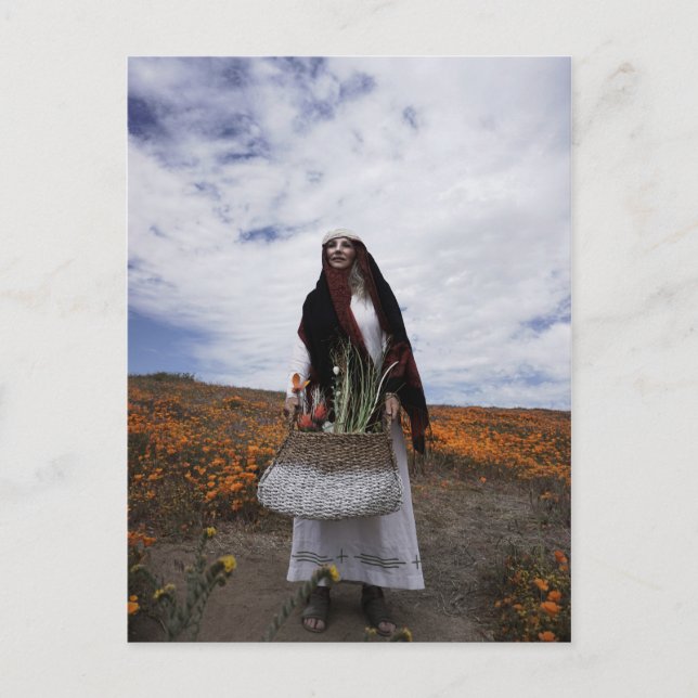 Vamplified Gypsy Trail Postcard (Front)