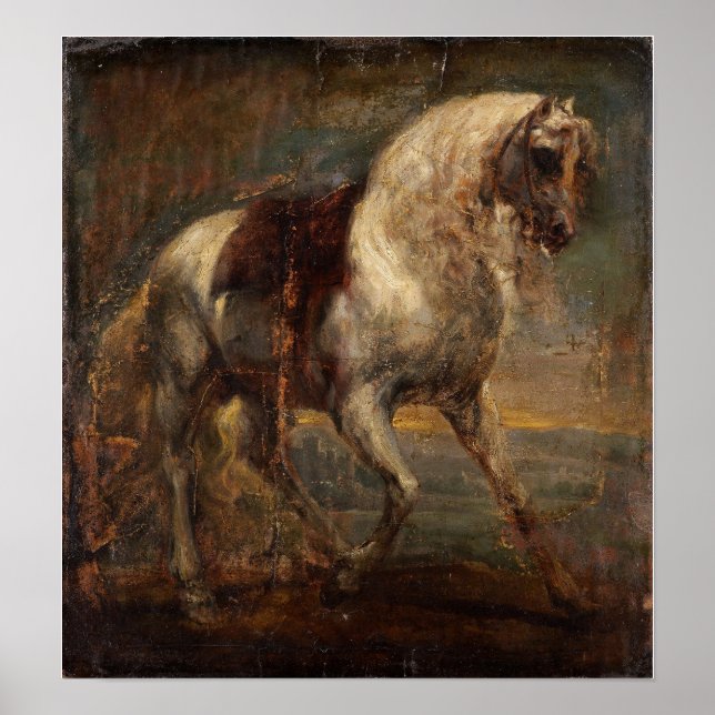 Van Dyck - A Grey Horse Poster (Front)