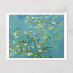 Van Gogh   Almond Blossom   1890 Postcard