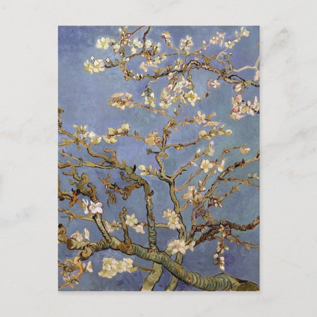 Van Gogh Almond Blossom Postcard (Front)