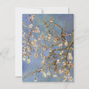 Van Gogh Almond Blossom Postcard