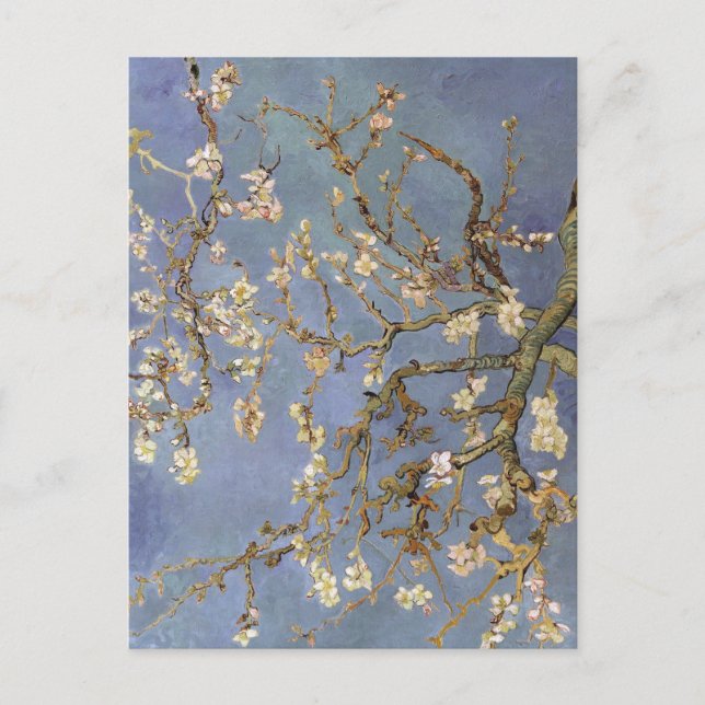 Van Gogh Almond Blossom Postcard (Front)