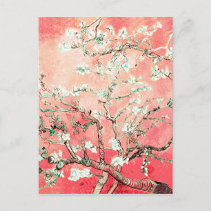 Van Gogh Almond Blossoms Peach Postcard