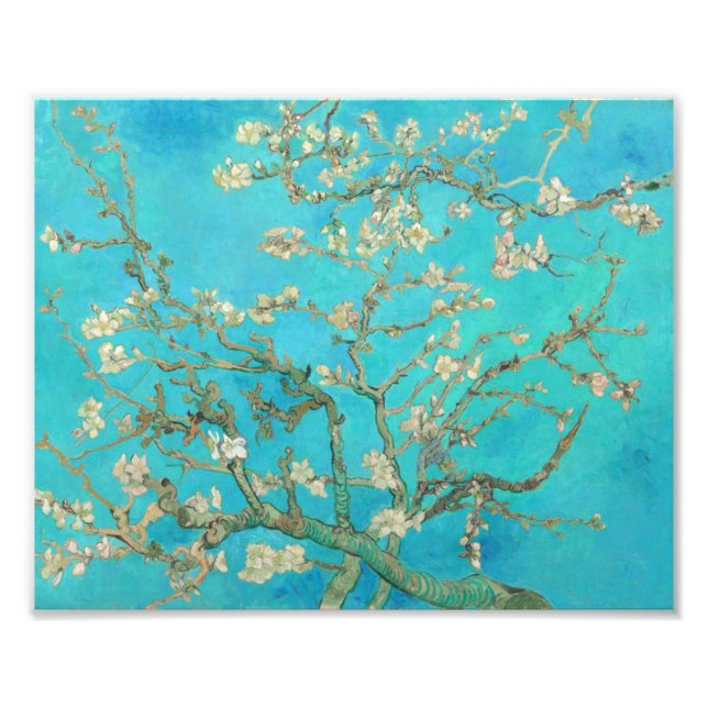 Van Gogh Almond Blossoms Photo Print (Front)