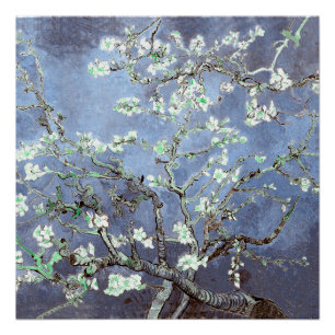 Van Gogh Almond Blossoms Steel Blue Poster