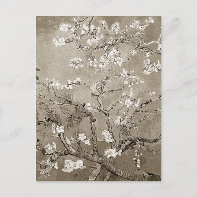 Van Gogh Almond Branches in Bloom - Sepia Postcard (Front)