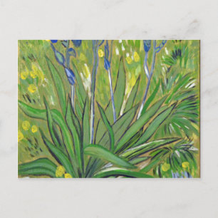 Van Gogh art Irises, acrylic reproduction Postcard