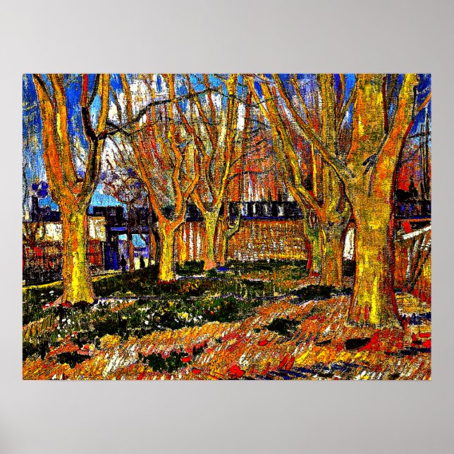 Van Gogh - Avenue of Plane Trees Poster (Front)
