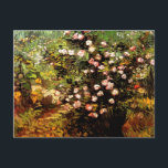 Van Gogh - Blooming Rose Bush Postcard<br><div class="desc">Blooming Rose Bush,  fine art painting by Vincent van Gogh</div>