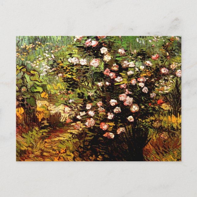 Van Gogh - Blooming Rose Bush Postcard (Front)