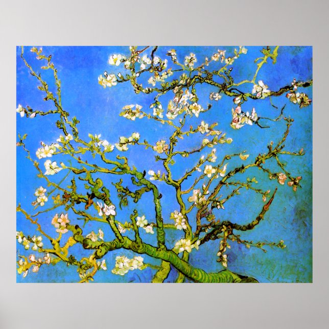 Van Gogh: Blossoming Almond Tree Branches Poster (Front)