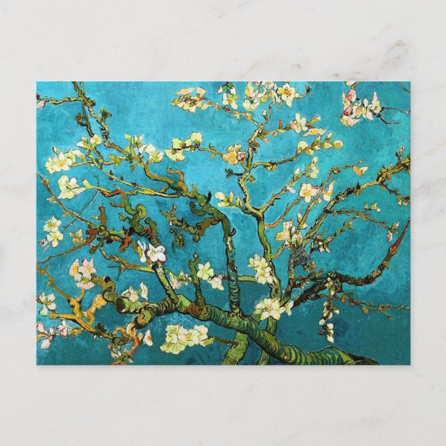 Van Gogh Blossoming Almond Tree Fine Art Postcard (Front)