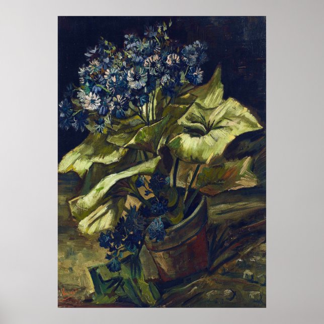Van Gogh Cineraria in a Flowerpot Poster (Front)