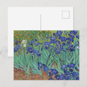 Van Gogh Classic Painting Irises Floral Botanical Postcard