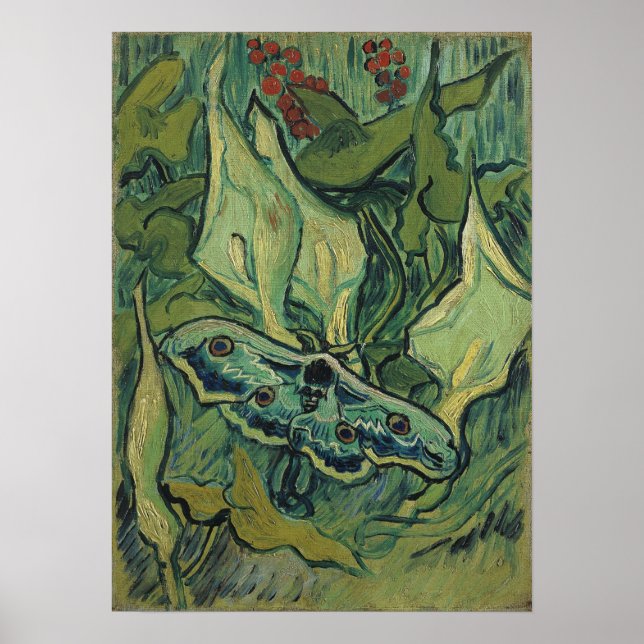Van Gogh - Emperor Moth Poster (Front)