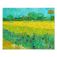 Van Gogh Field with Irises Near Arles