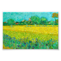 Van Gogh Field with Irises Near Arles