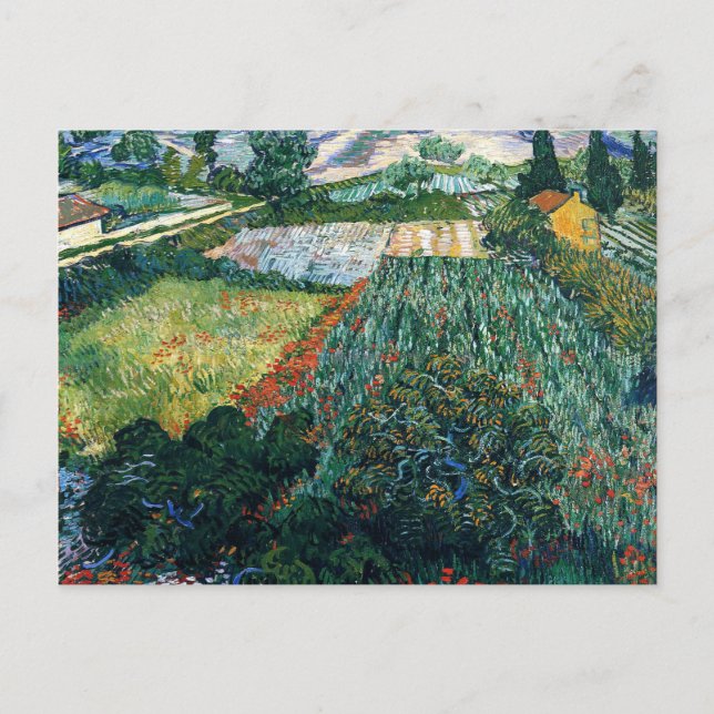 Van Gogh - Field with Poppies Postcard (Front)