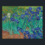 van Gogh - Irises (1889) Poster<br><div class="desc">In May 1889, after episodes of self-mutilation and hospitalisation, Vincent van Gogh chose to enter an asylum in Saint-Rémy, France. There, in the last year before his death, he created almost 130 paintings. Within the first week, he began Irises, working from nature in the asylum's garden. The cropped composition, divided...</div>