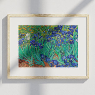 Van Gogh Irises. Blue floral vintage impressionism Poster