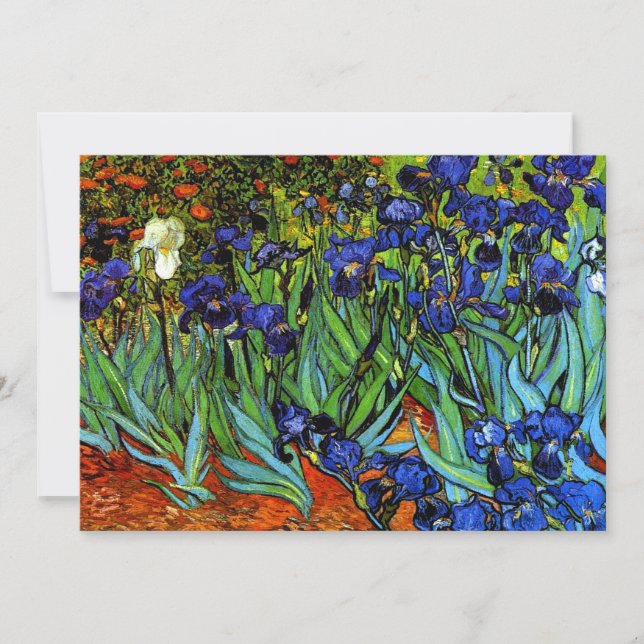 Van Gogh - Irises Greeting Card (Front)