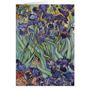 Van Gogh Irises Impressionist Painting