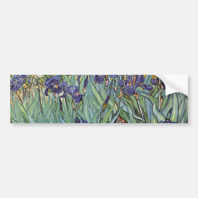 Van Gogh Irises Impressionist Painting Bumper Sticker (Front)