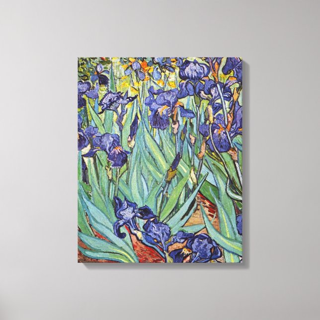 Van Gogh Irises Impressionist Painting Canvas Print (Front)