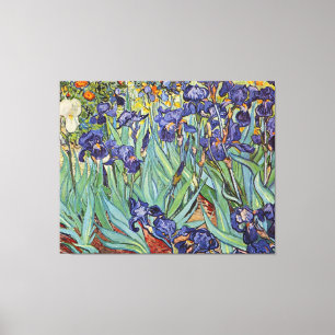 Van Gogh Irises Impressionist Painting Canvas Print