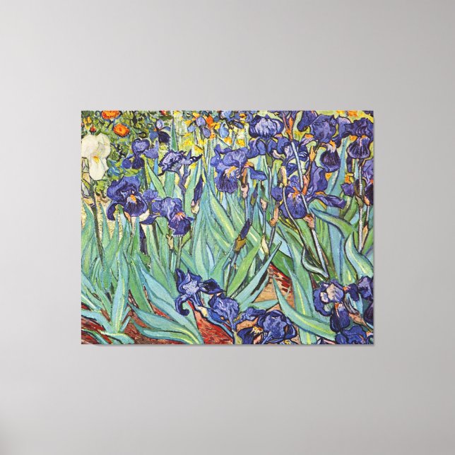 Van Gogh Irises Impressionist Painting Canvas Print (Front)