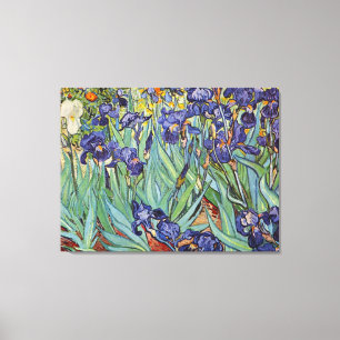 Van Gogh Irises Impressionist Painting Canvas Print