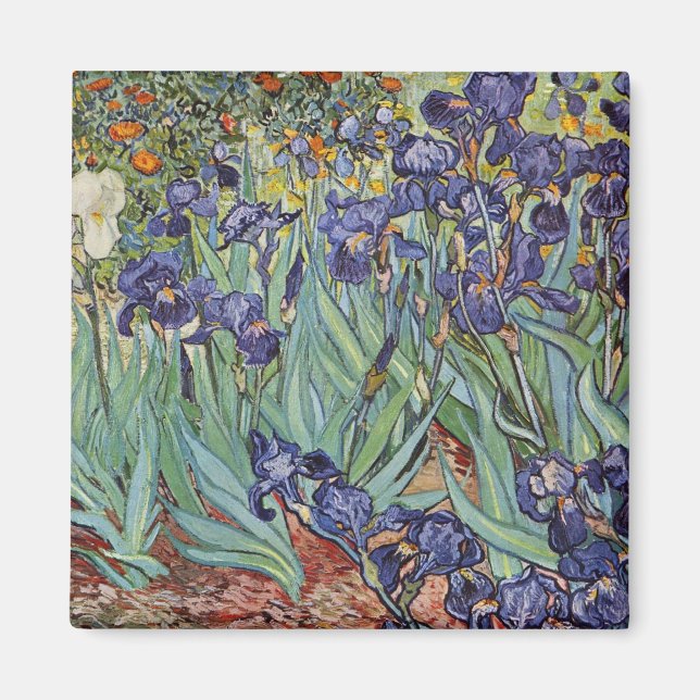Van Gogh Irises Impressionist Painting Magnet (Front)