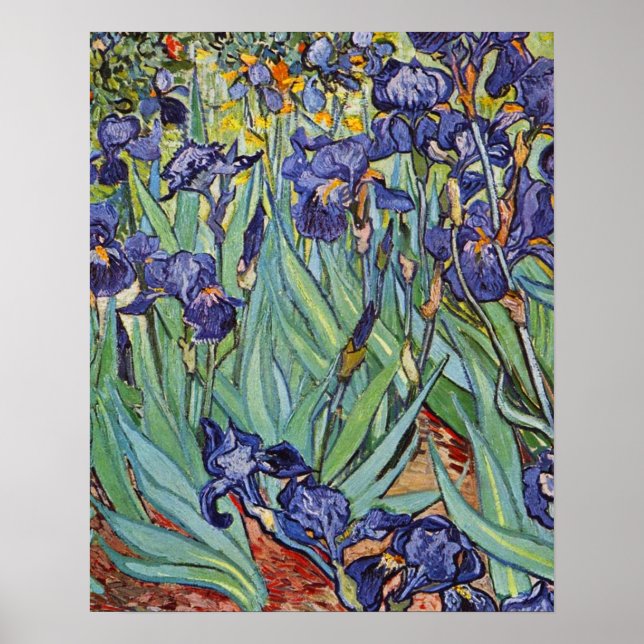 Van Gogh Irises Impressionist Painting Poster (Front)