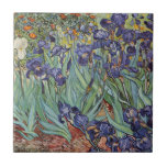 Van Gogh Irises Impressionist Painting Tile<br><div class="desc">Vincent Van Gogh Irises at Saint Remy - Irises by Vincent Van Gogh is a wonderful impressionistic painting by one of the master impressionism artists of all time. The iris garden is swirling with colour and emotion, as the purple irises flow up from their blue green stems and leaves. There...</div>