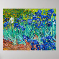 Van Gogh, Irises, Les Iris, 1889