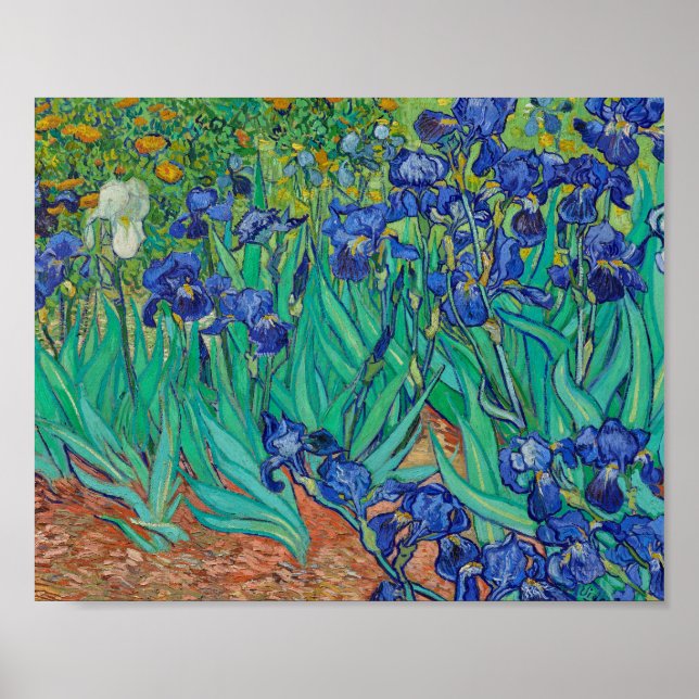 Van Gogh Irises Painting Poster (Front)