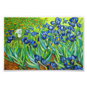 Van Gogh Irises Photo Print