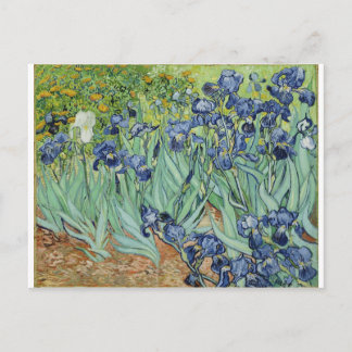 Van Gogh Irises Postcard