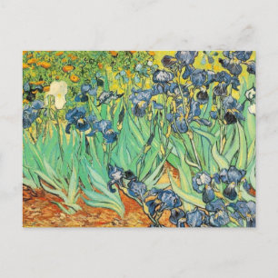 Van Gogh Irises Postcard