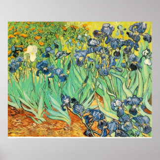 Van Gogh Irises Poster
