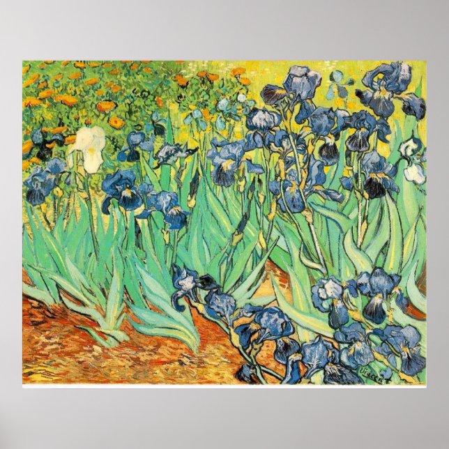 Van Gogh Irises Poster (Front)