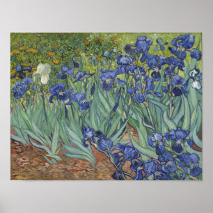 van Gogh Irises Poster