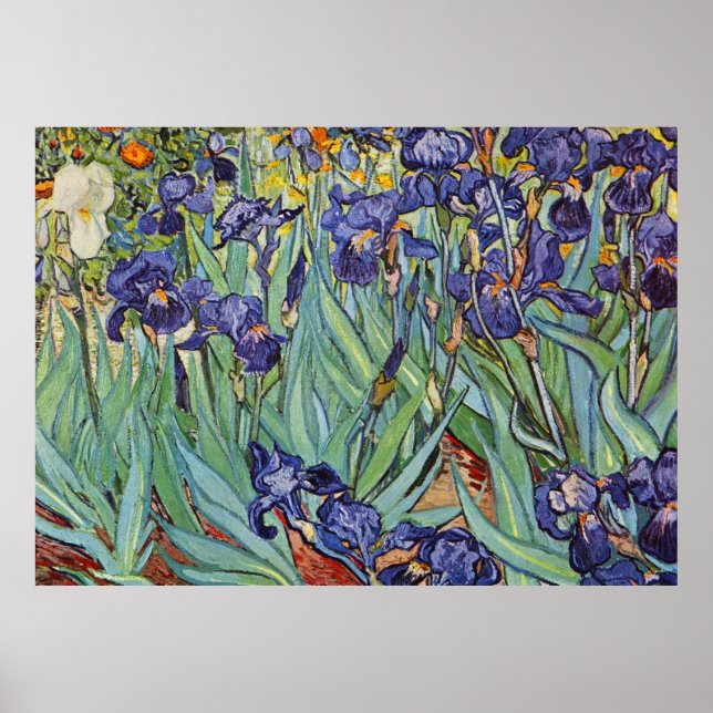 Van Gogh Irises Poster (Front)