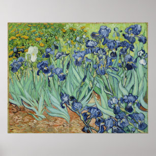 Van Gogh Irises, Vintage Post Impressionism Art Poster