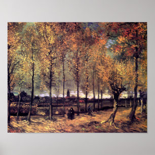 Van Gogh - Lane With Poplars Poster
