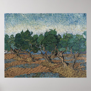 Van Gogh - Olive Grove Poster