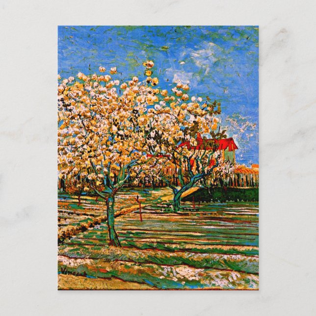 Van Gogh - Orchard in Blossom Postcard (Front)
