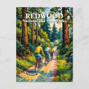 Van Gogh Redwood National Park Family Cycling Postcard